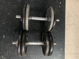 2 40 lbs total of 85lbs