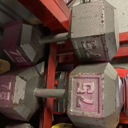75 lb Dumbbell Set