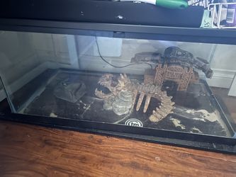 Terrarium Habitat