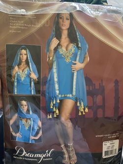 Dream girl Taj My Hall Costume Size Medium