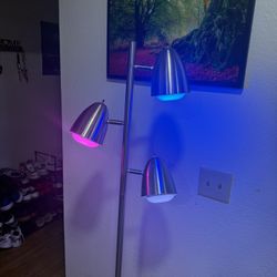 Floor Lamp With Smart Lights 