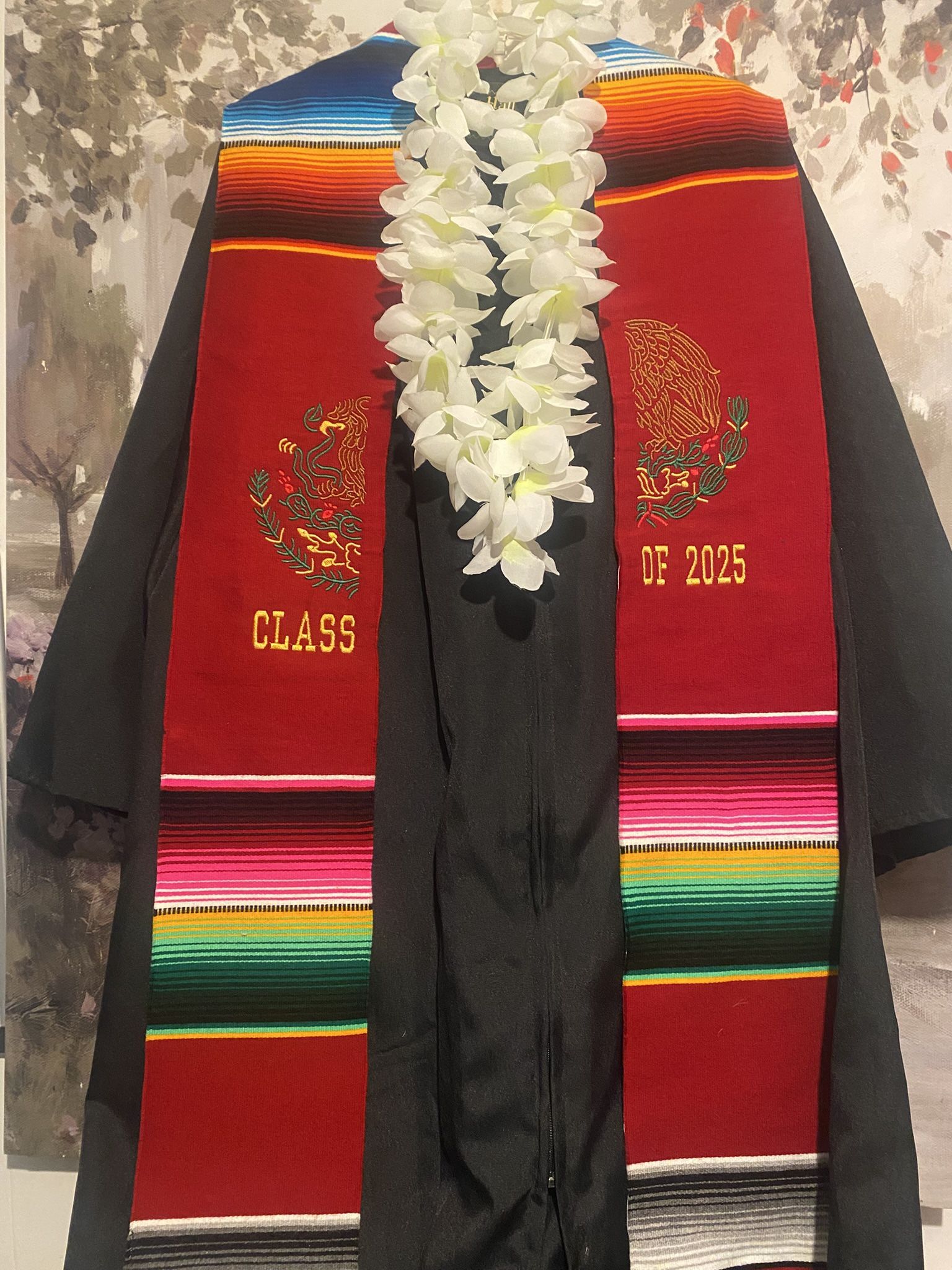Class Of 2025 Graduation Sash
