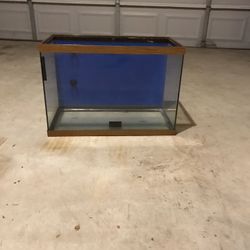 20 gallon fish tank