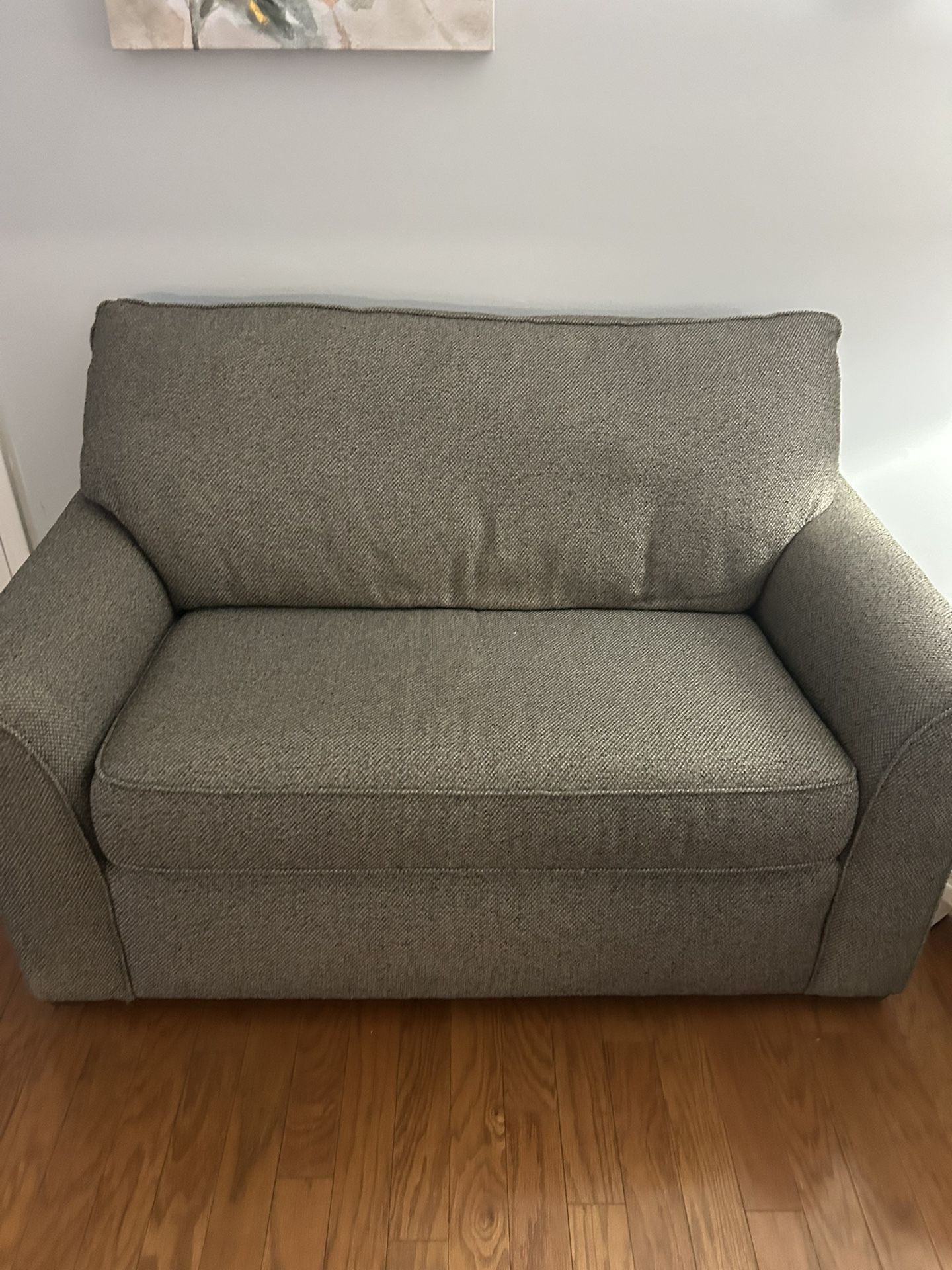 Love Seat Sleeper