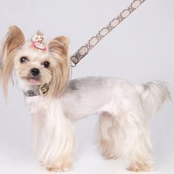 Dog Collar And Leash