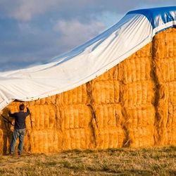 Hay Tarps 