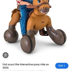 Kids Riding Horse 
