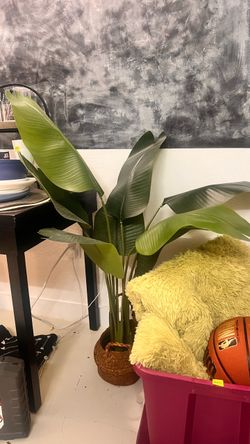 40” faux banana leaf plant