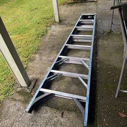 Werner Ladder 8ft 