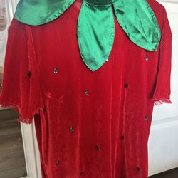 Strawberry costume/dress size L