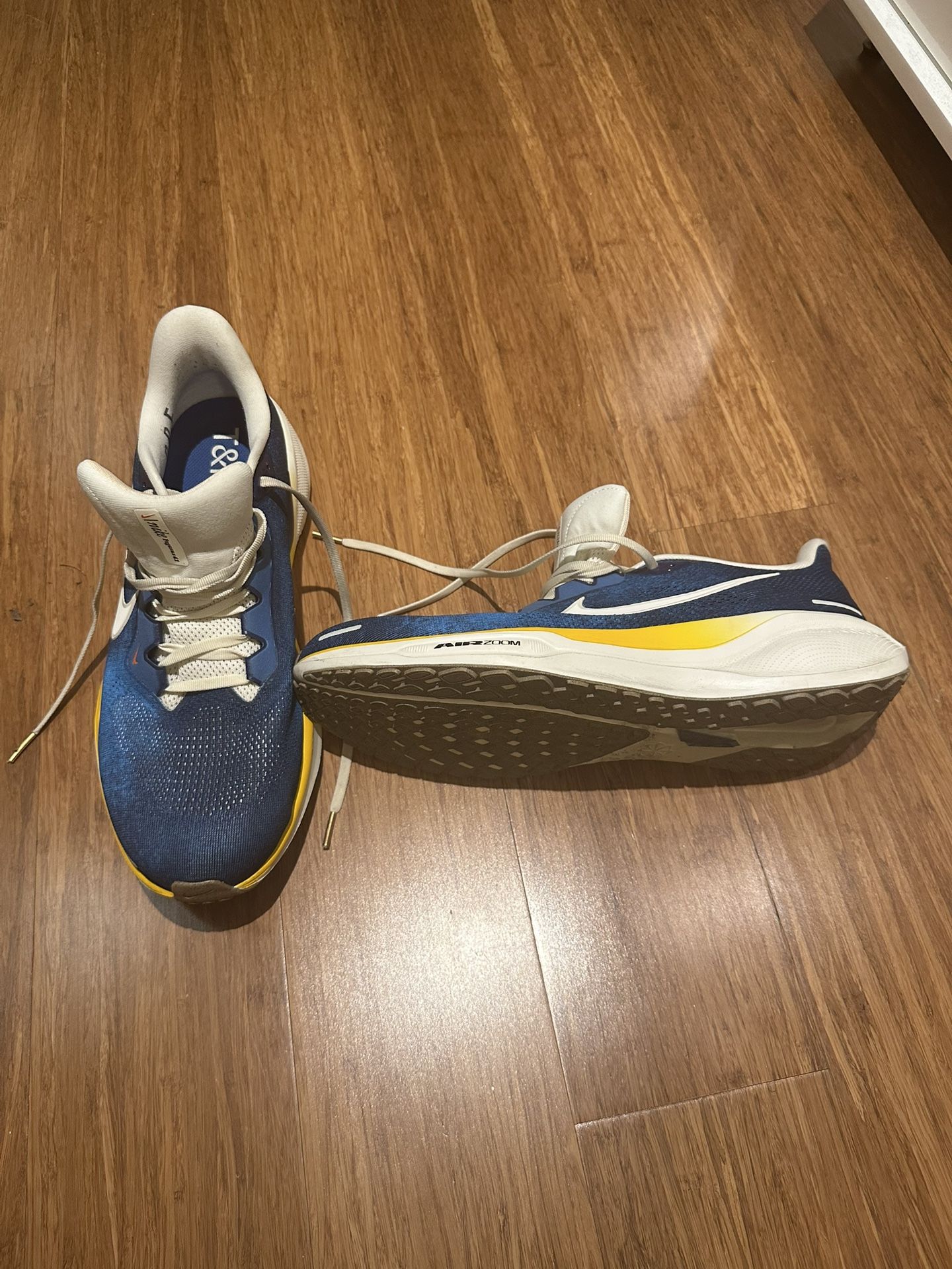 Nike Pegasus Air Zoom