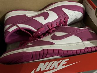 Brand New Nike Dunks