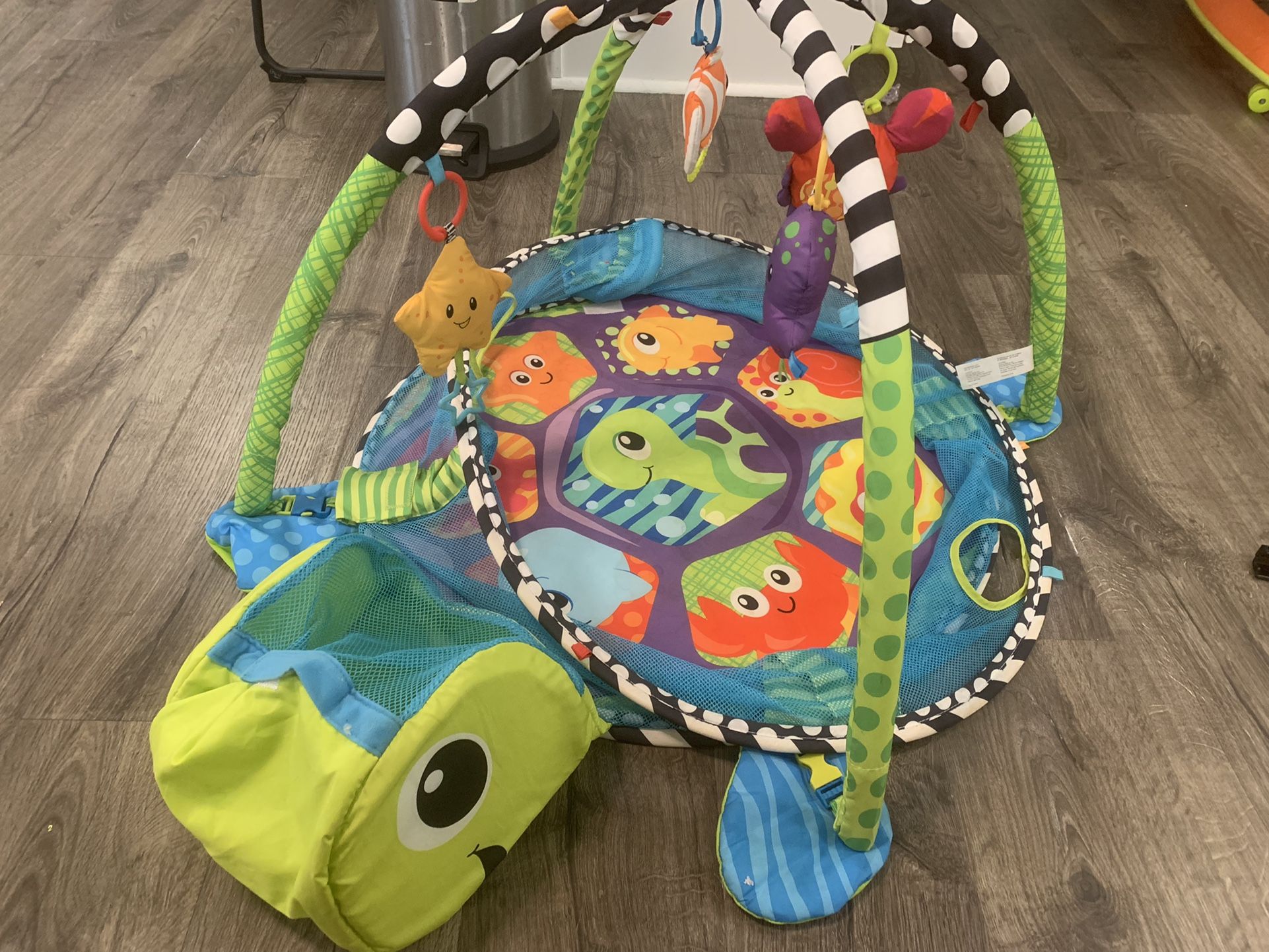 Turtle Baby Activity Mat