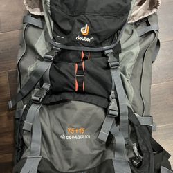 $140 Brand New Travelers Backpack