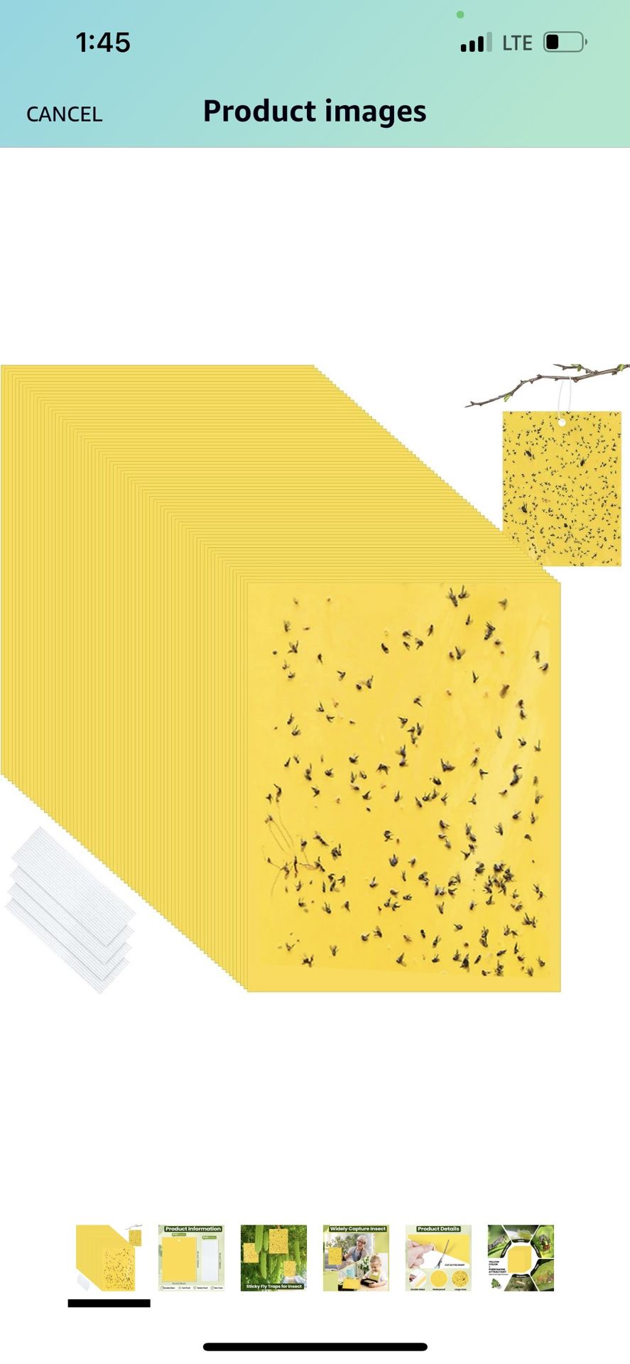 100 PCs Double Sided Sticky Fly Traps