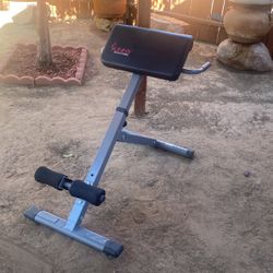 SUNNY. HEALTH $ FITNESS Silla Romana Para Levantamiento De Gluteos 