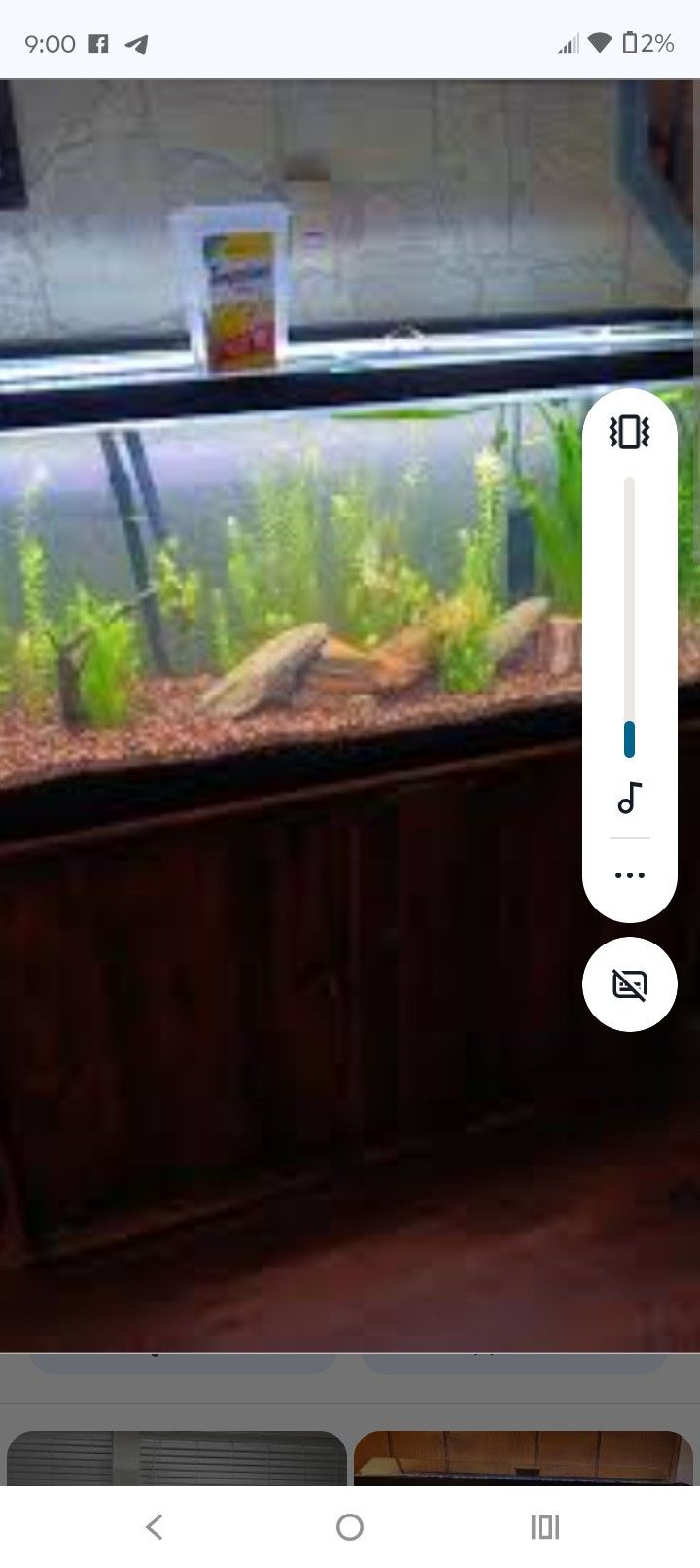 55 Gallon Tank With Every Thing