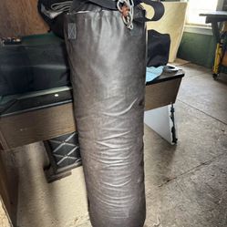 Everlast Punching Bag
