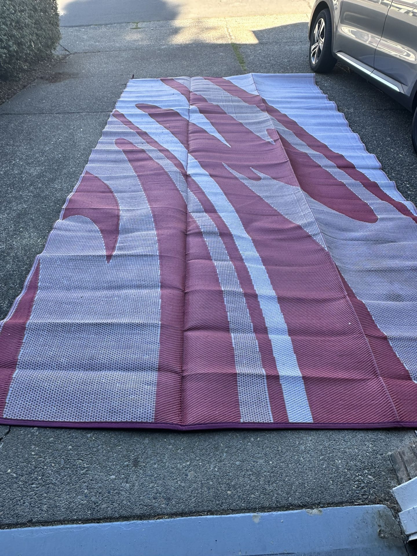 Rv Rug/mat