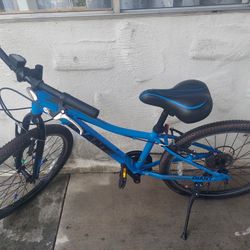 GAINT SIZE 24 TIRE MOUNTAIN BIKE 