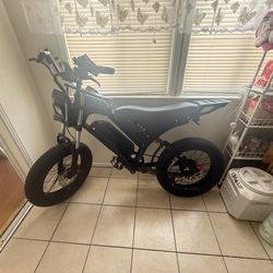 Youlon Y10 E Bike