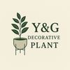 Y & G Decorative Plant