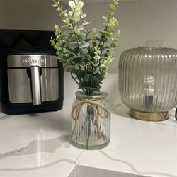 Eucalyptus Plant Decor 