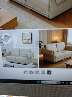 Wayfair Loveseat/fold out bed