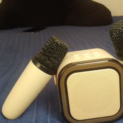 Portable Karaoke Speaker System with 2 Wireless Microphones – Bluetooth RGB