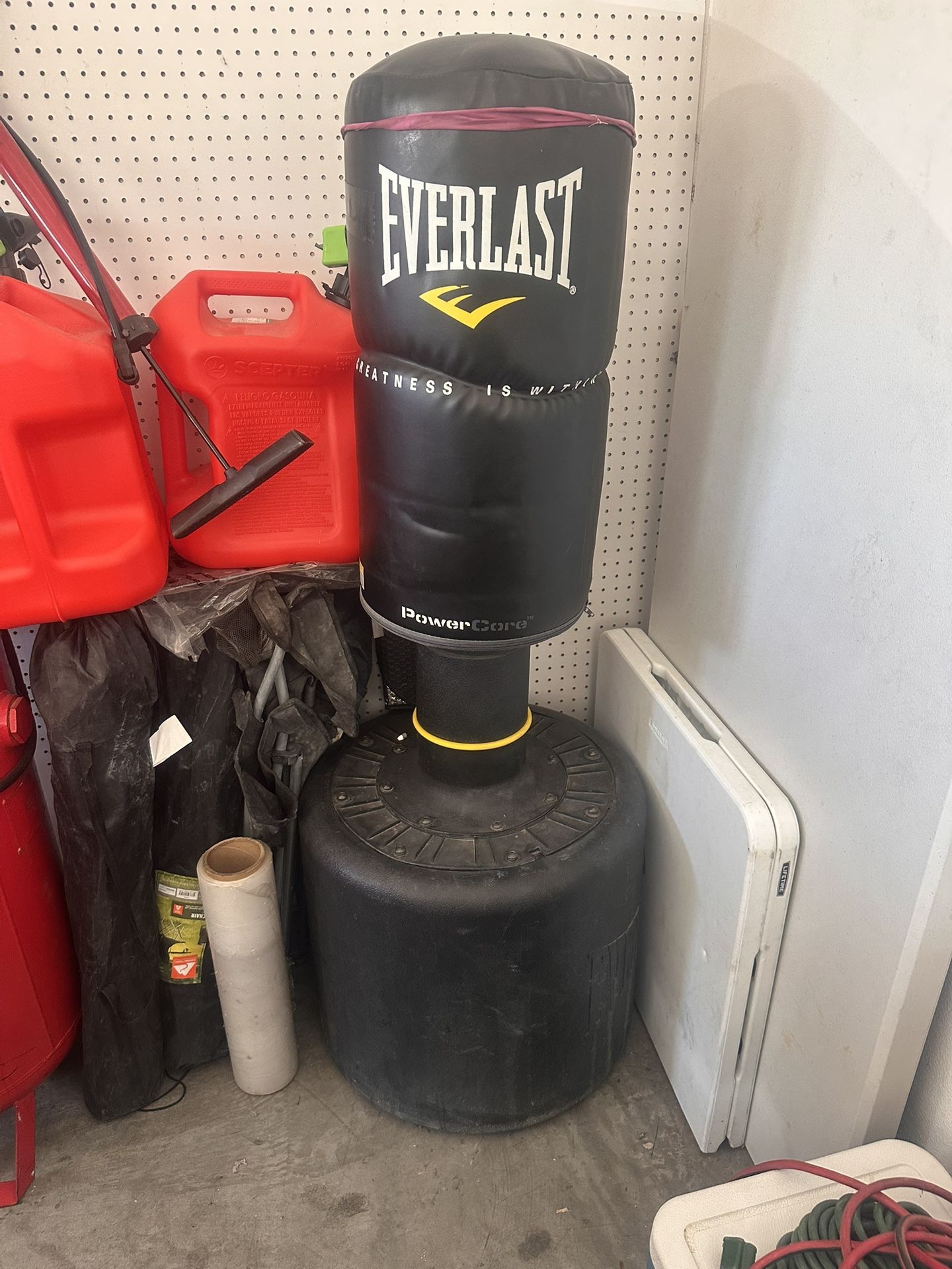 everlast punching bag