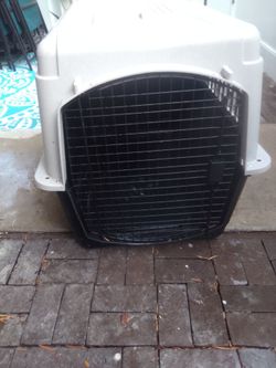 Large dog kennel