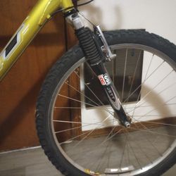 28 Speed GT Rebound Bike 