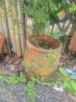 Terracotta pot