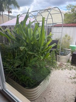 Vego Garden modular arched trellis and 2 raised garden beds