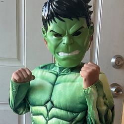 Marvel Avengers Hulk Smash Halloween Kids Costume 
