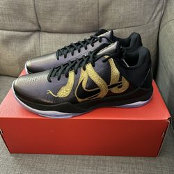 Nike Kobe 5 Protro Eggplant 