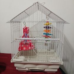 Bird Cage