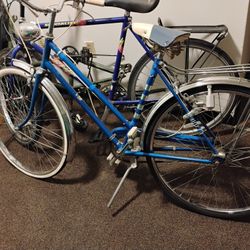  Vintage Schwinn 