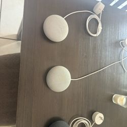 Google Home Minis