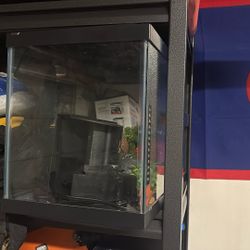 Fish Tank With Some Decor