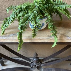 Artificial Fern In Ceramic Pot