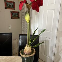 Flower Decor (28 “tall
