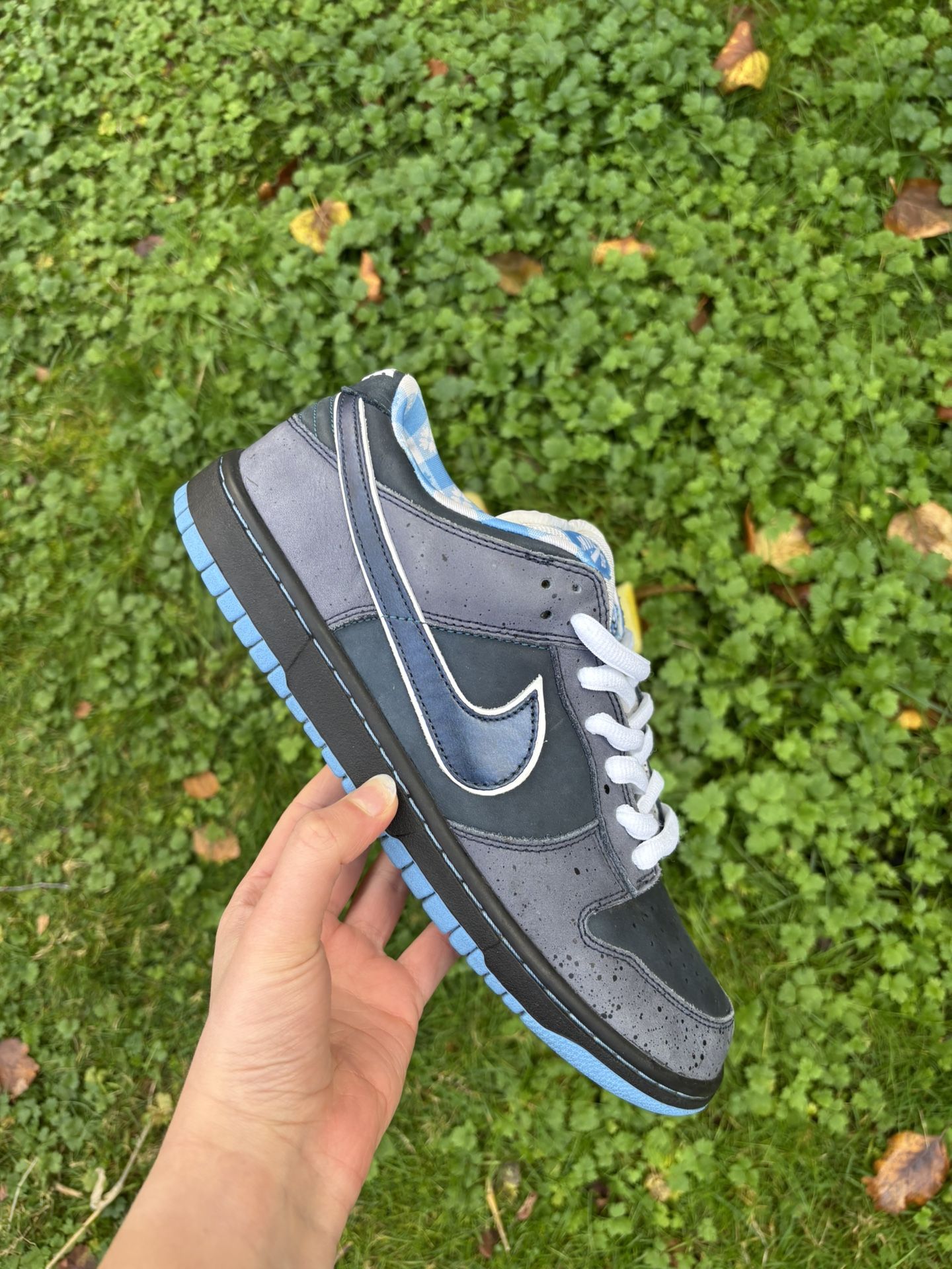Nike Sb Dunks Low Blue Lobsters 2009