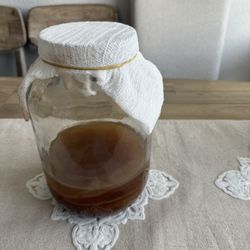 kombucha Starter 