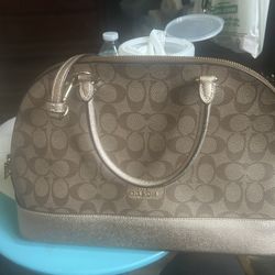 Bolsa Coach Limpia $60