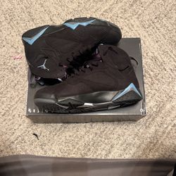 Jordan 7 Retro Chambray 2006