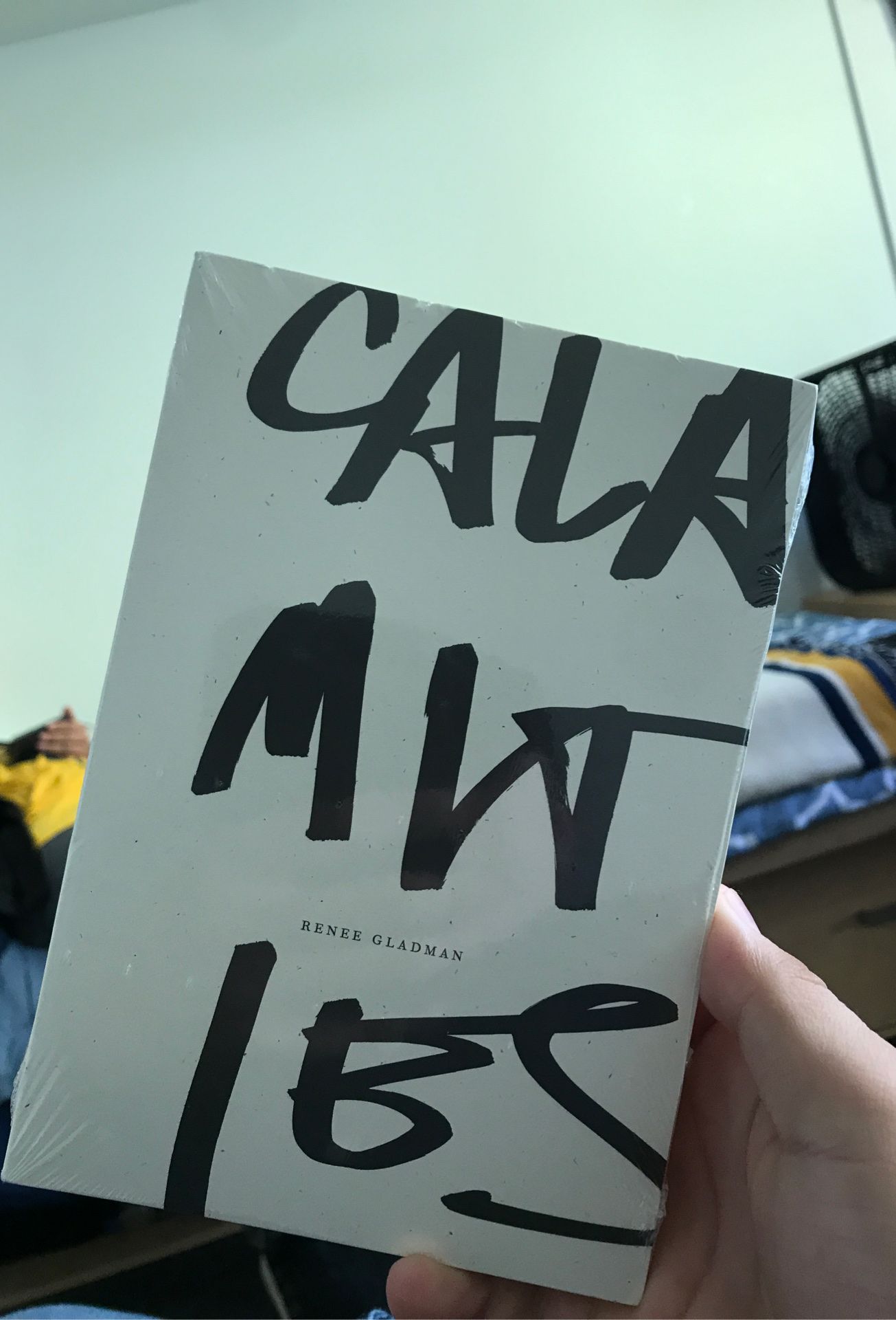 Calamities || Renee Gladman