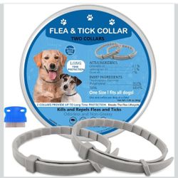 Flea Dog collars