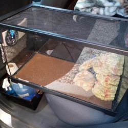 10 Gallon Aquarium 