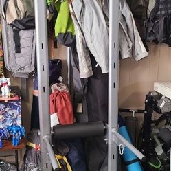 Bowflex Body Tower Exercise Pull Up Stand